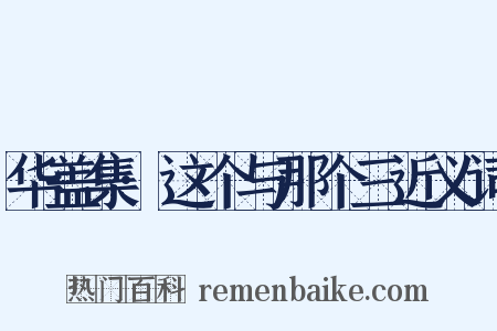 华盖集·这个与那个三近义词是什么意思的图片